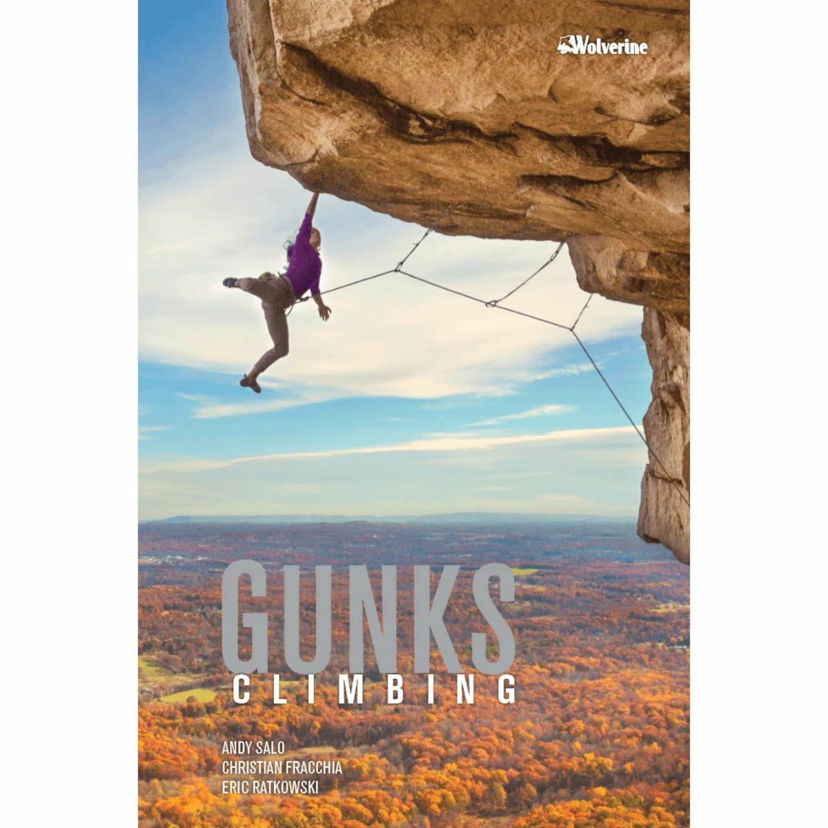 Wolverine Gunks Climbing