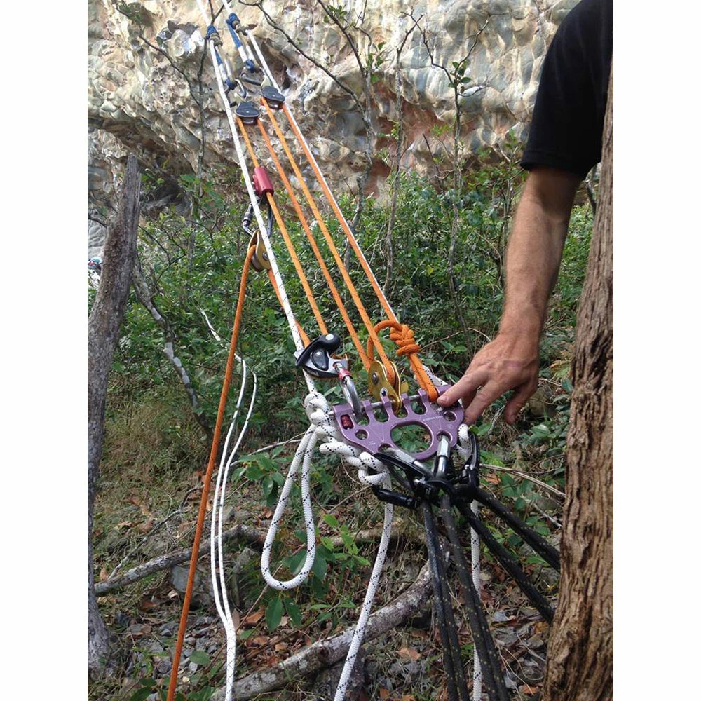 Rock Exotica The BOLT - Image 4